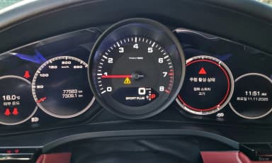 Cayenne (PO536)