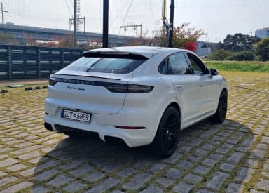 Cayenne (PO536)