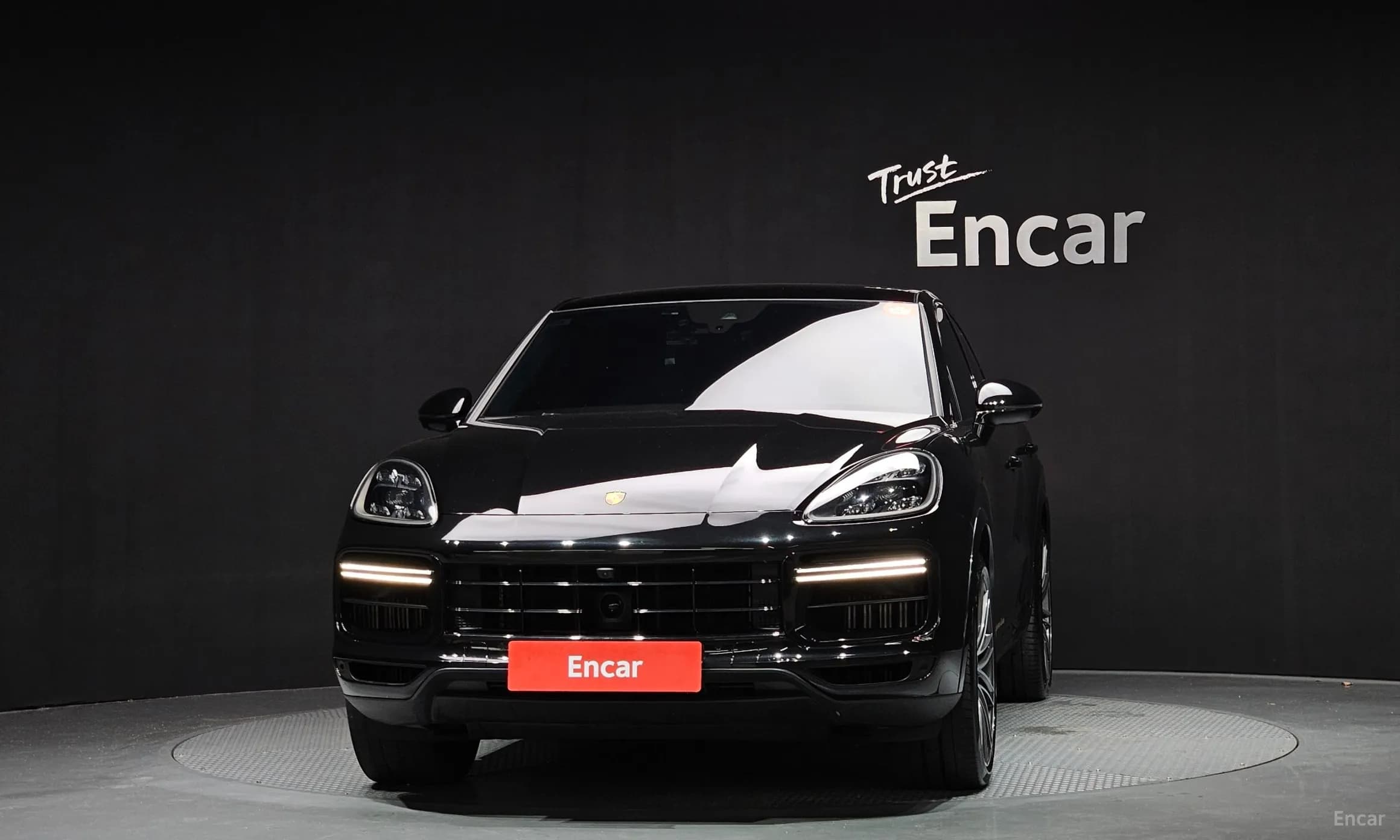 Cayenne (PO536)