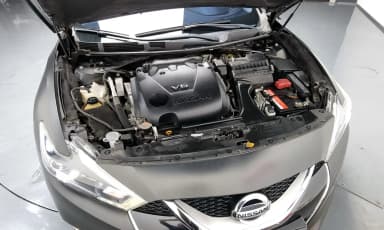 Maxima (A36)