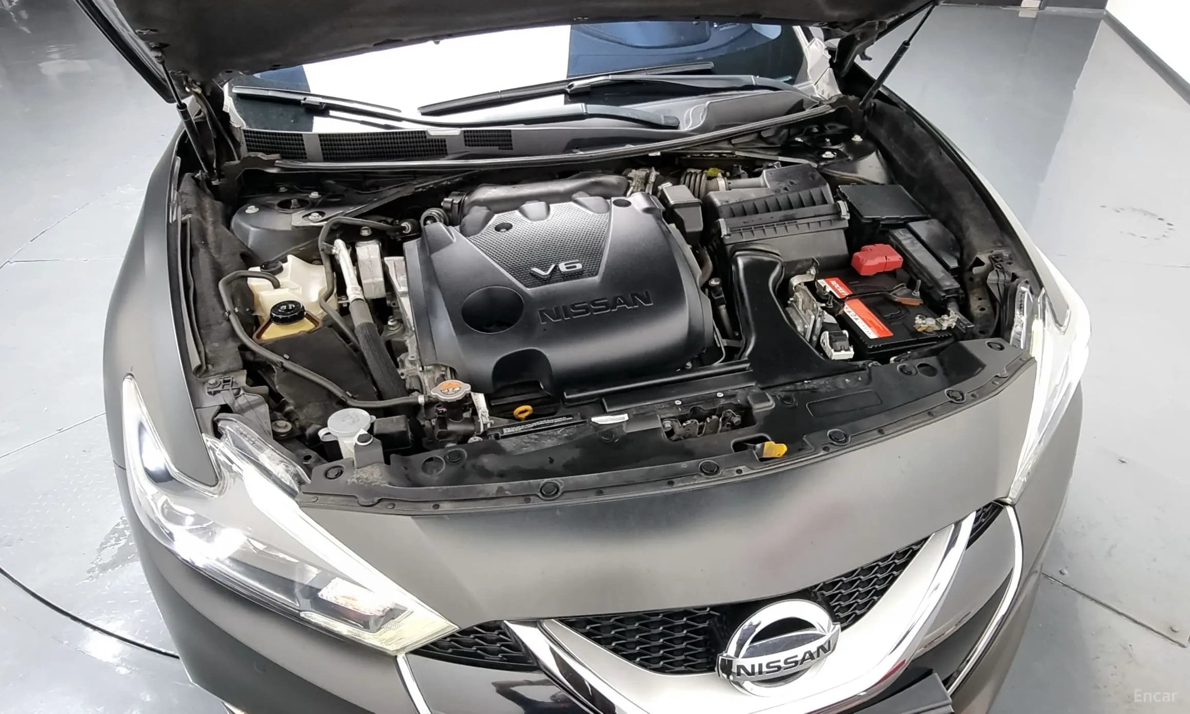 Maxima (A36)