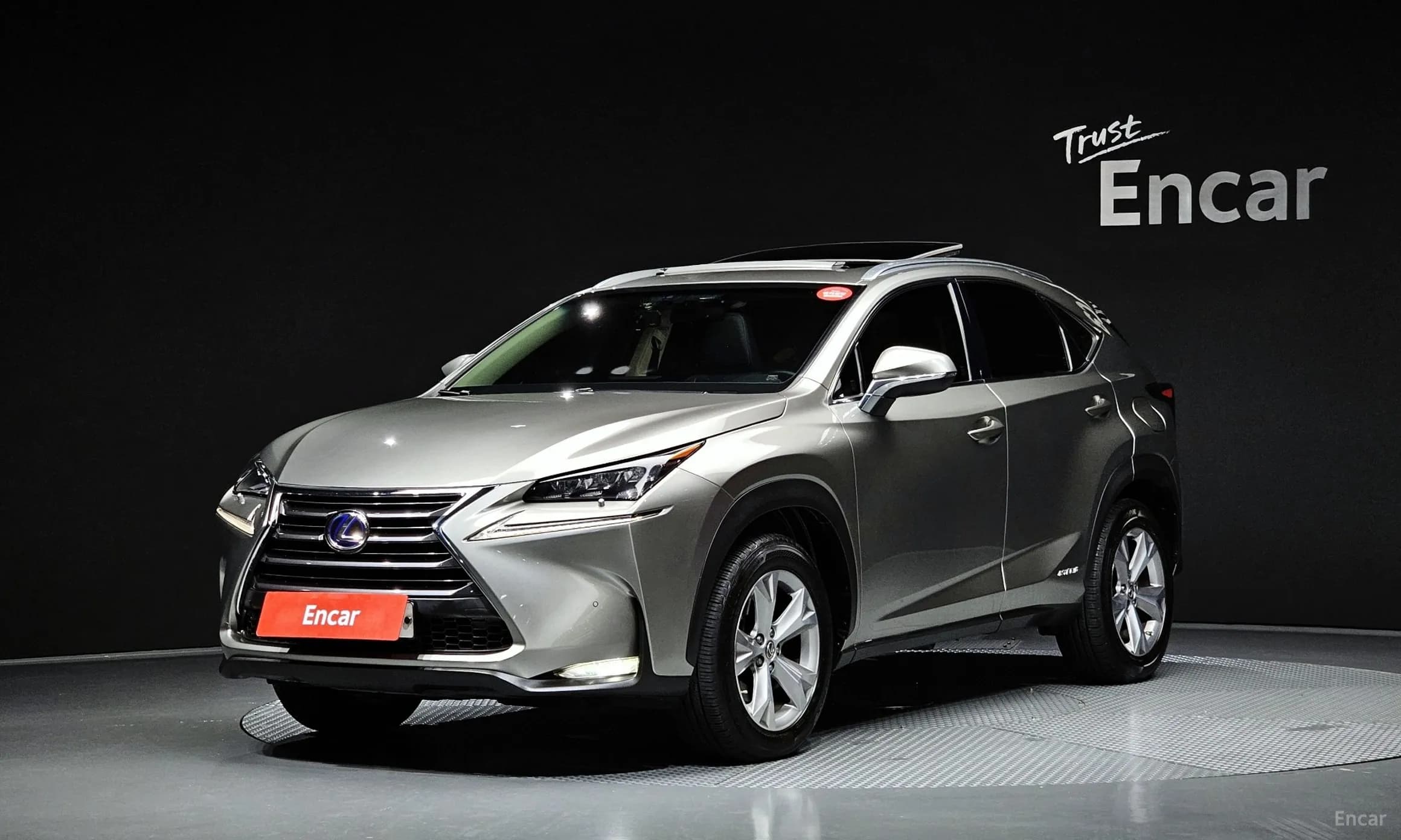 NX300h