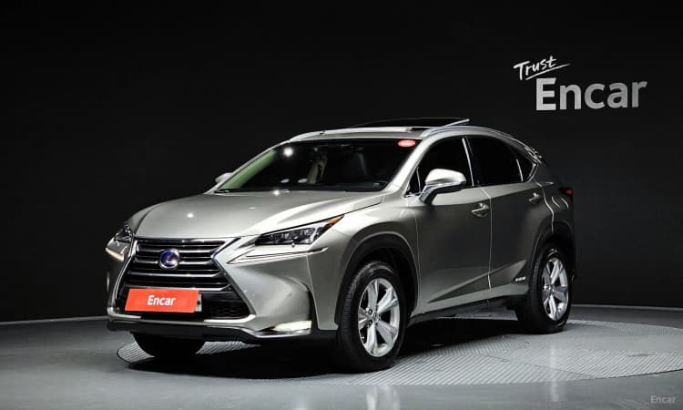 NX300h