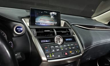 NX300h