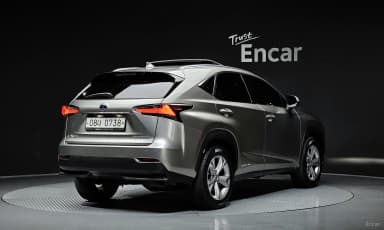 NX300h
