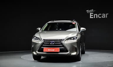 NX300h