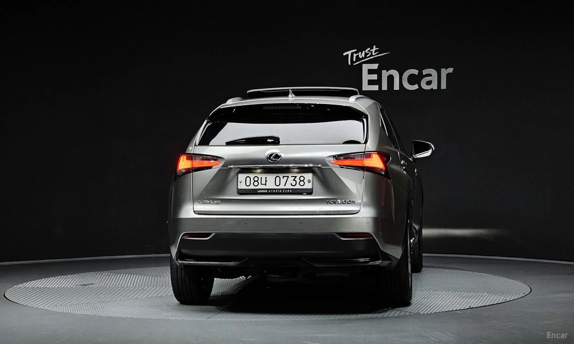 NX300h