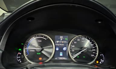 NX300h