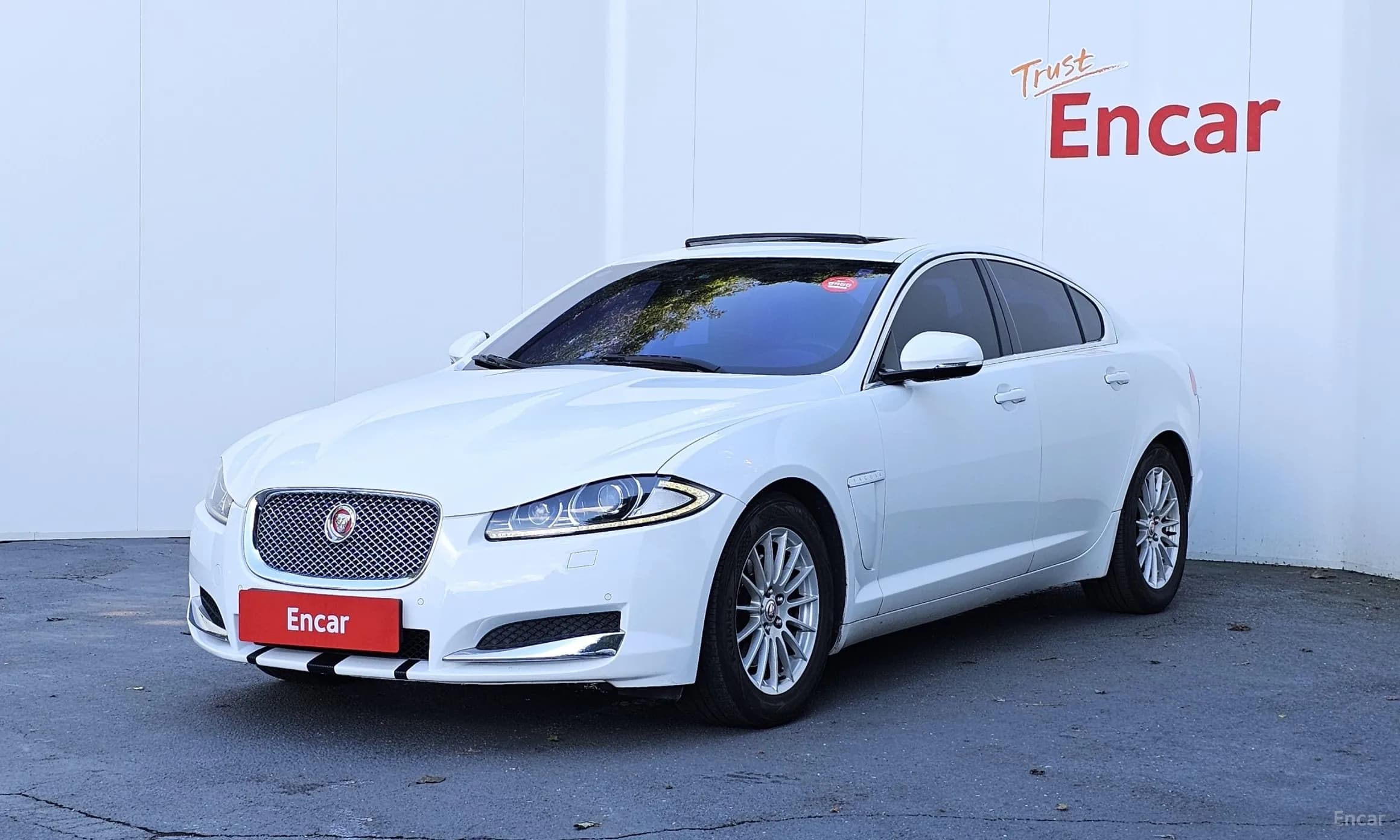 New XF