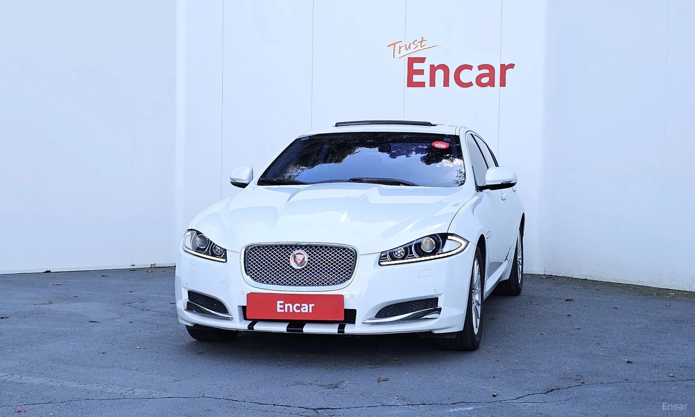 New XF