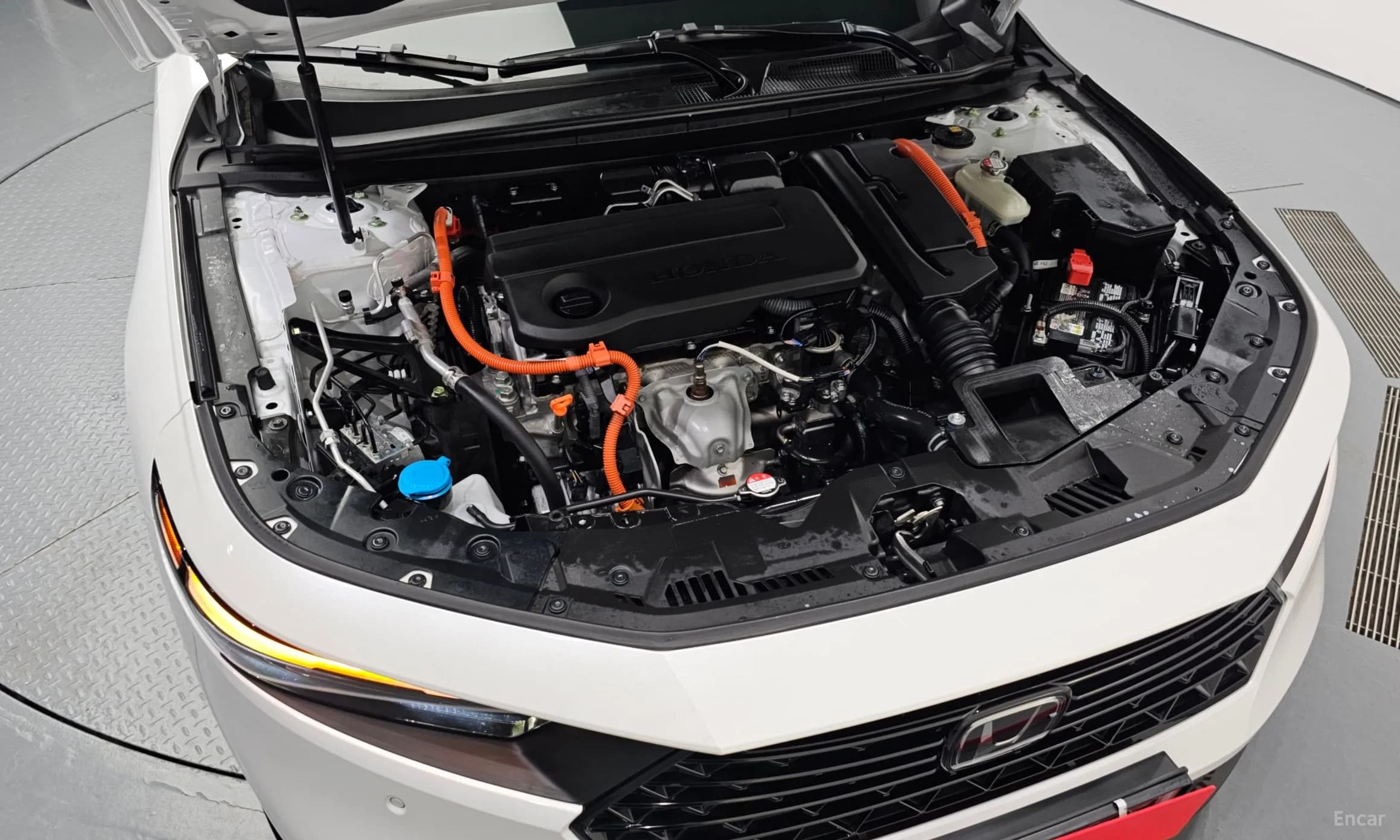 Accord 11th Generation