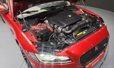 XF (x260)