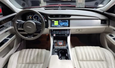 XF (x260)