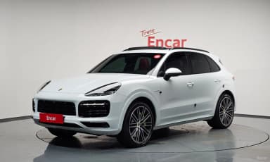 Cayenne (PO536)