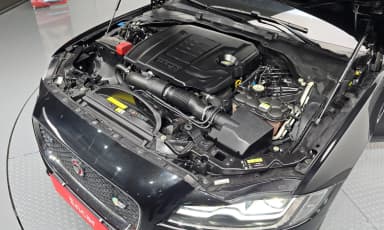XF (x260)