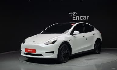 Model Y