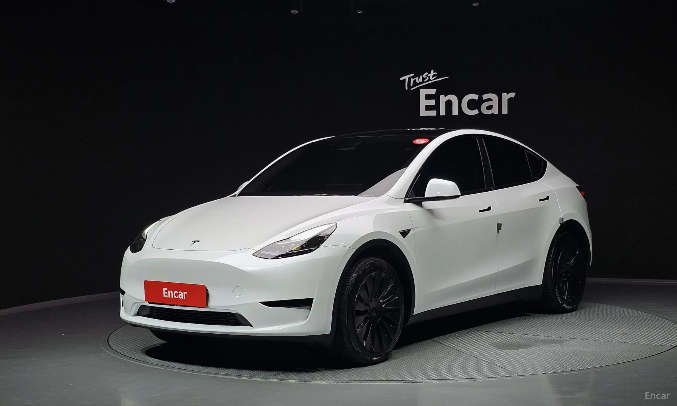 Model Y