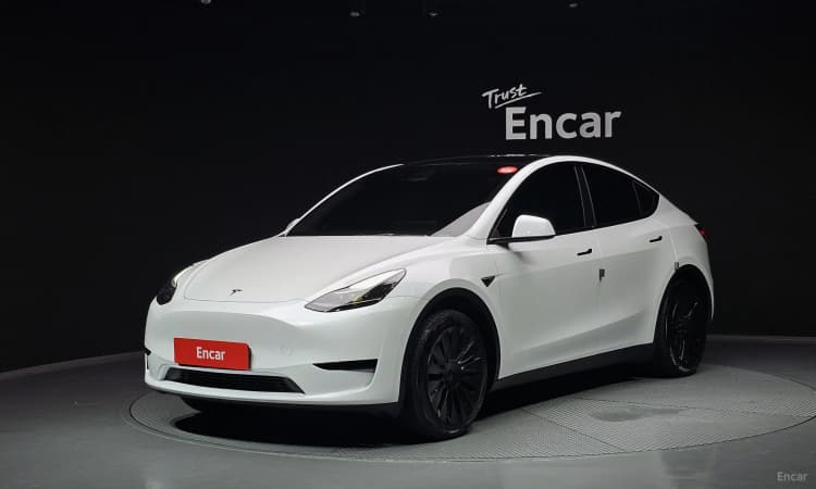Model Y