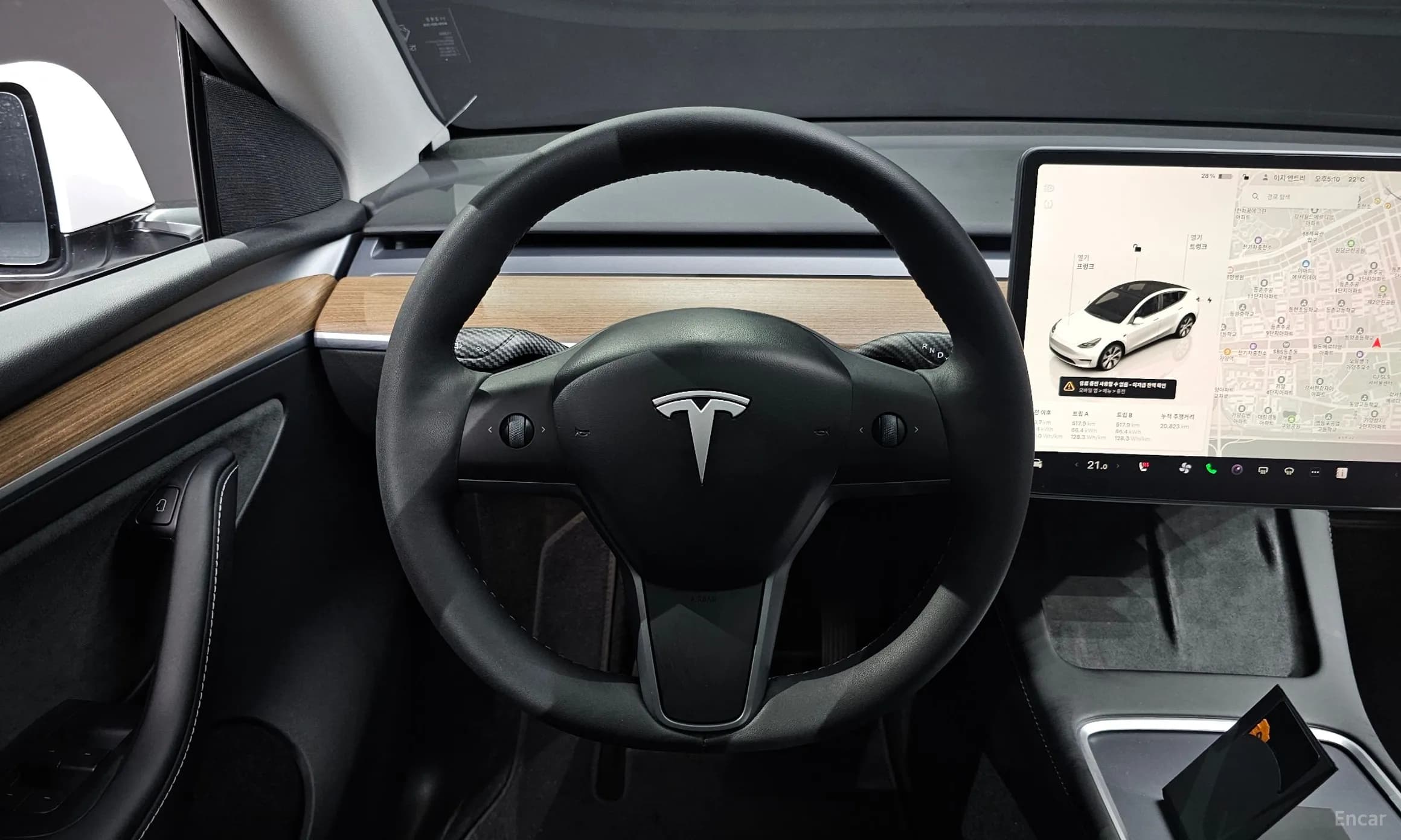 Model Y