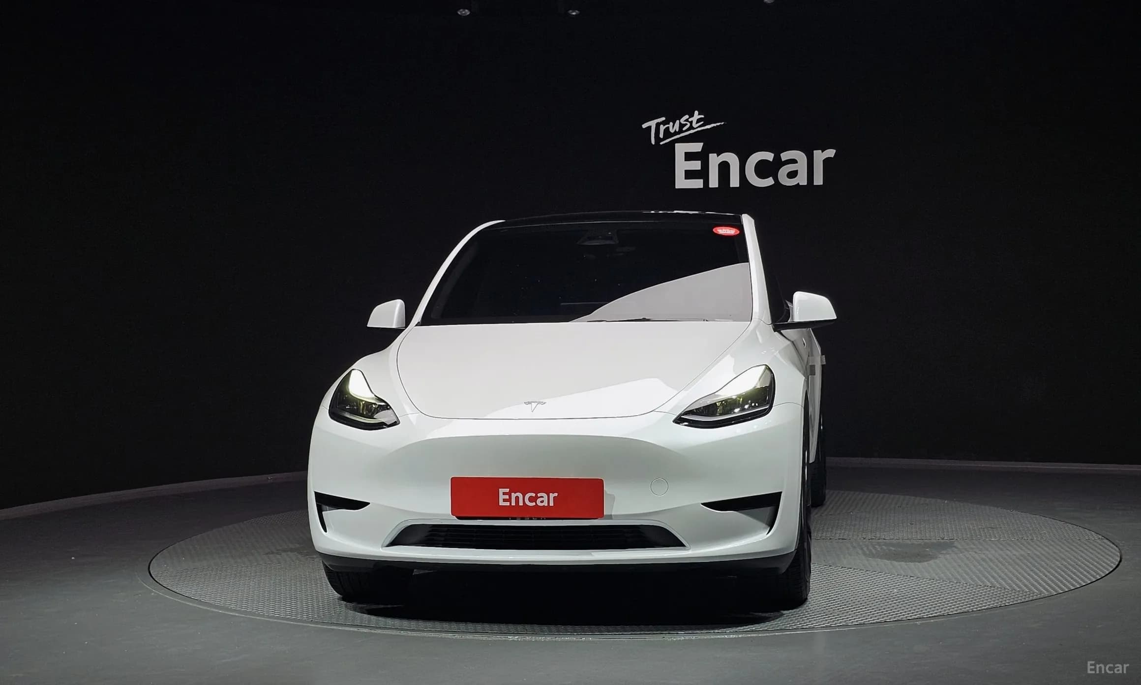 Model Y