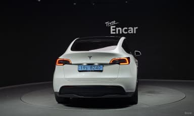 Model Y