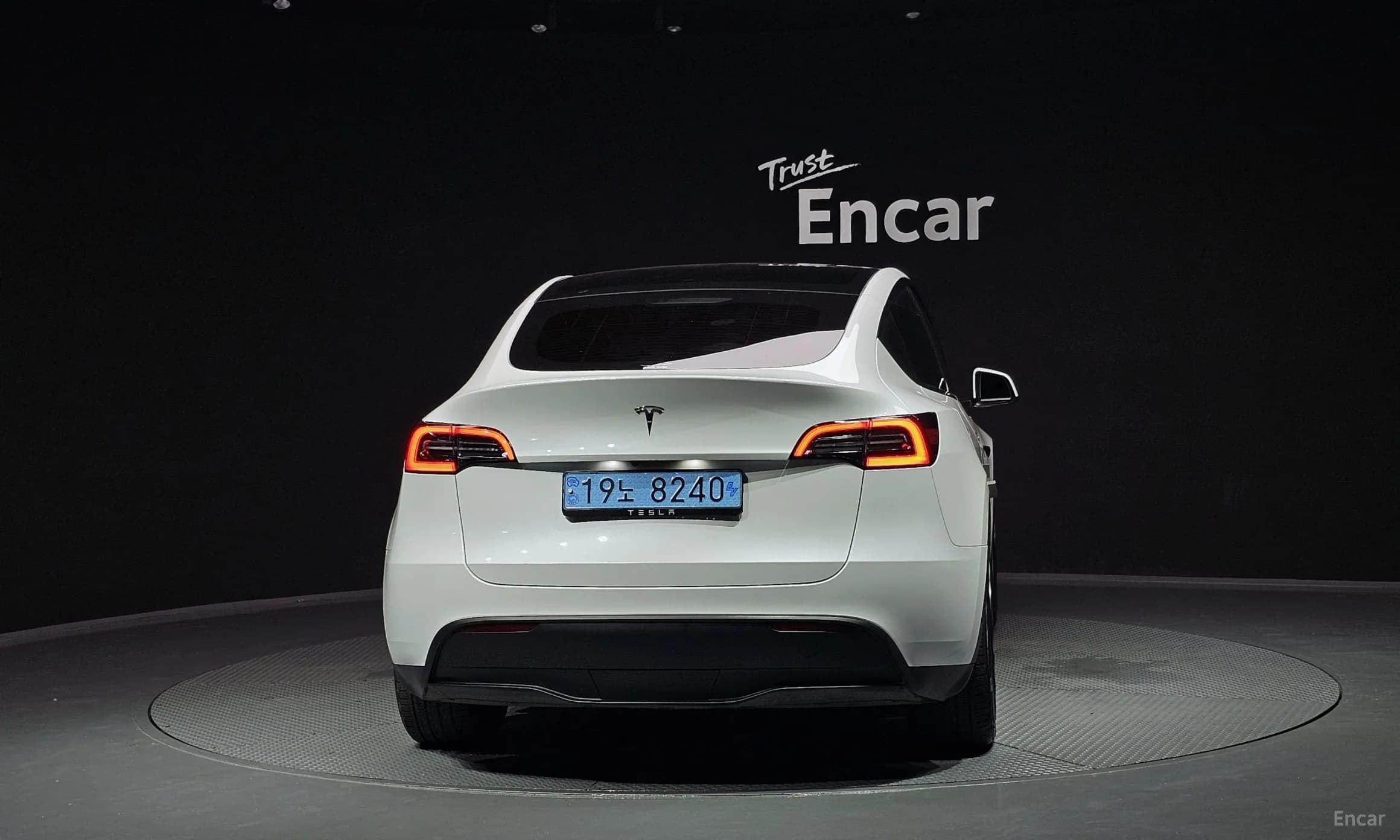 Model Y