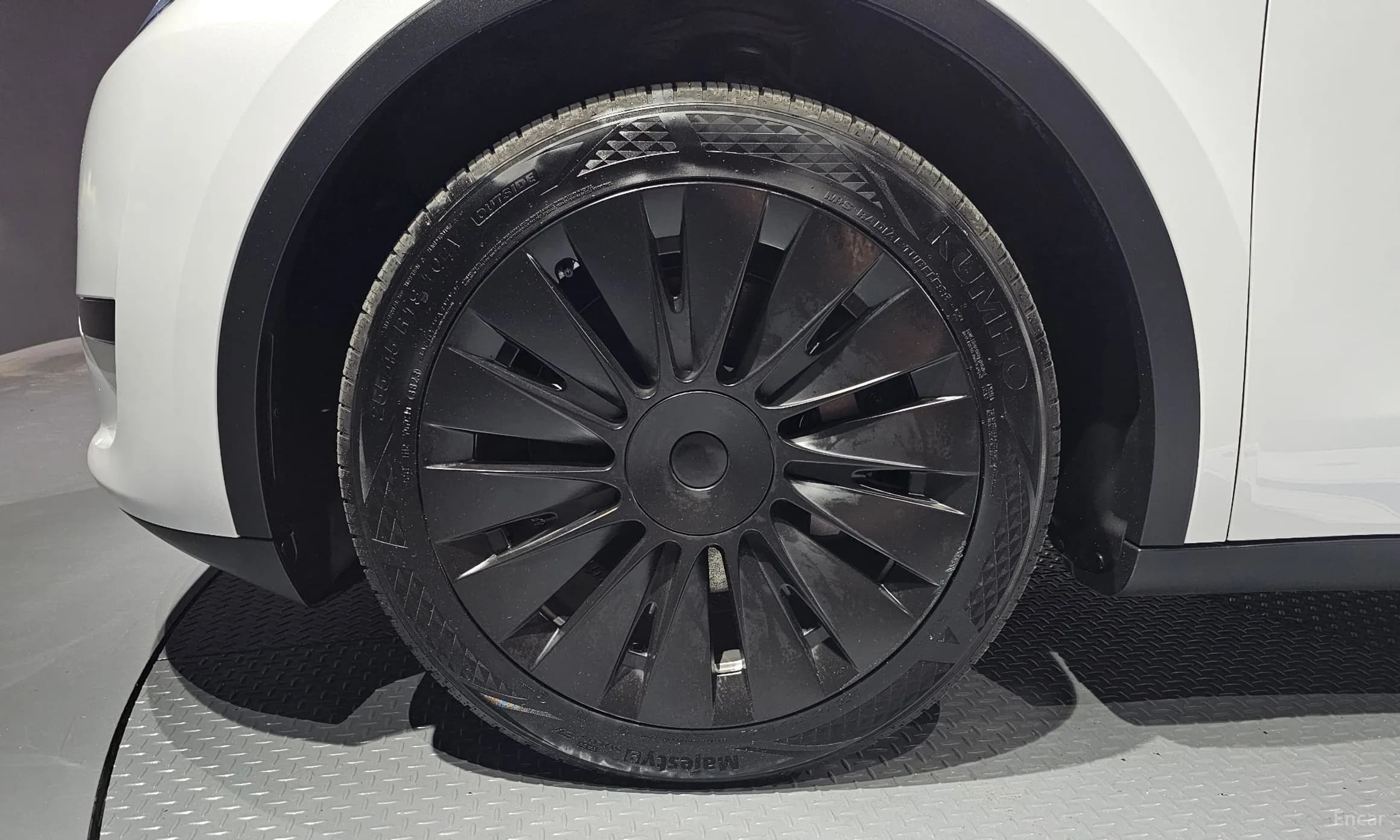 Model Y