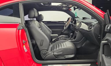 The Beetle