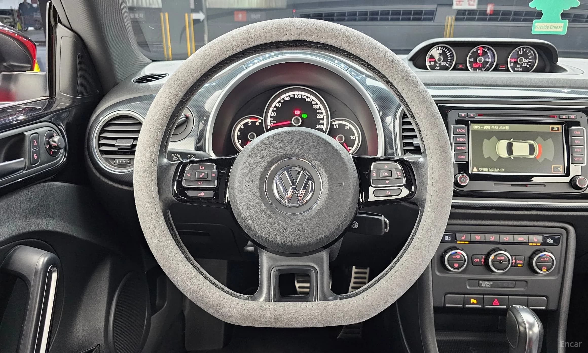 The Beetle