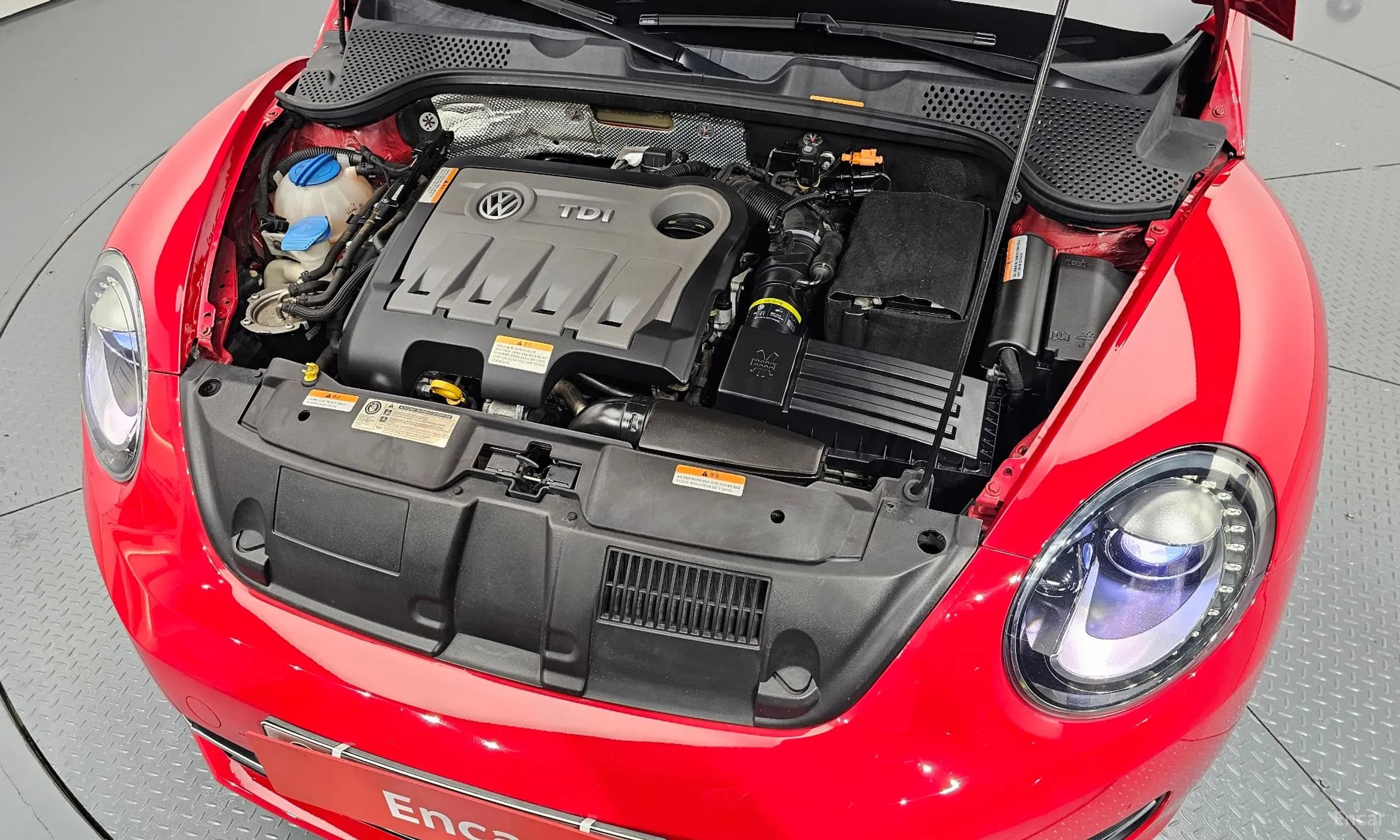 The Beetle