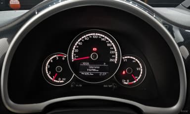 The Beetle