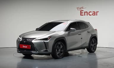 UX250h