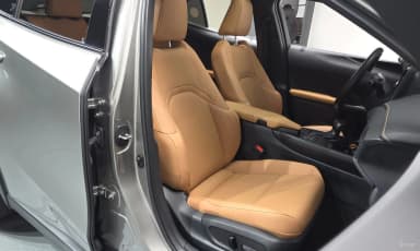 UX250h