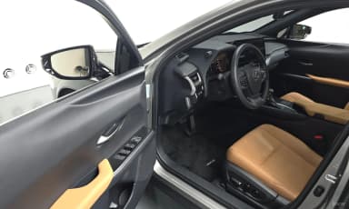 UX250h