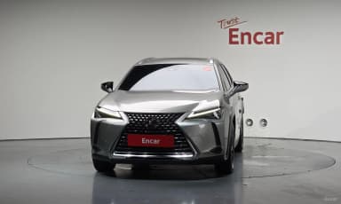 UX250h