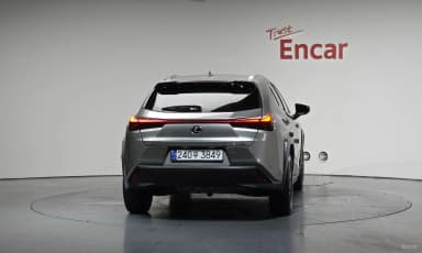 UX250h