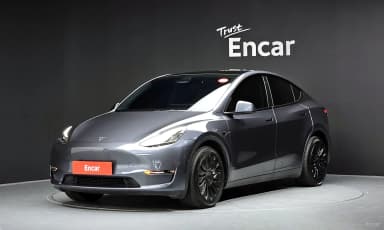 Model Y