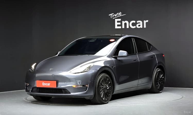 Model Y