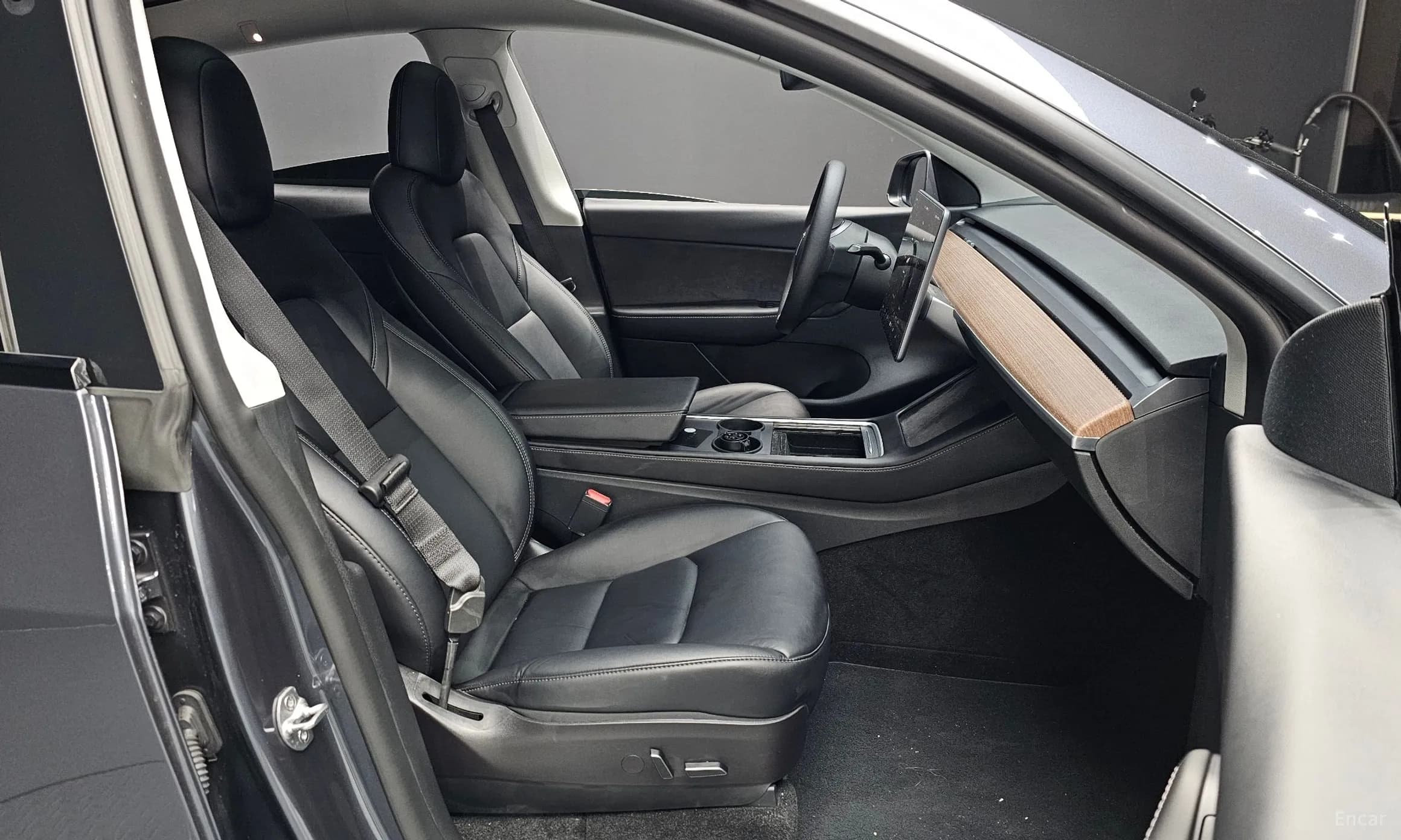 Model Y
