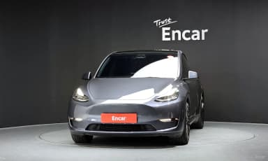 Model Y