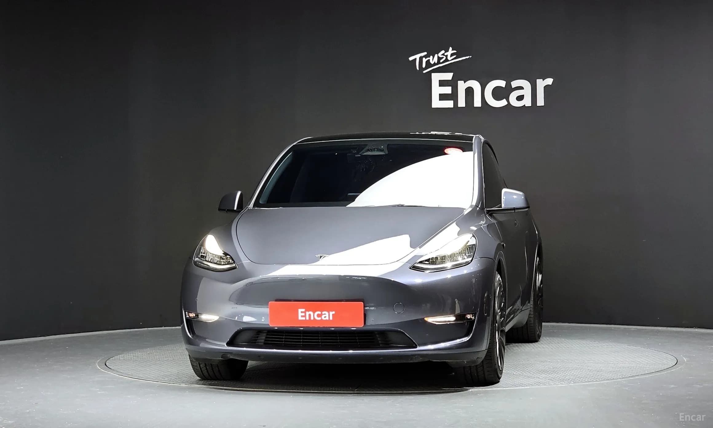 Model Y