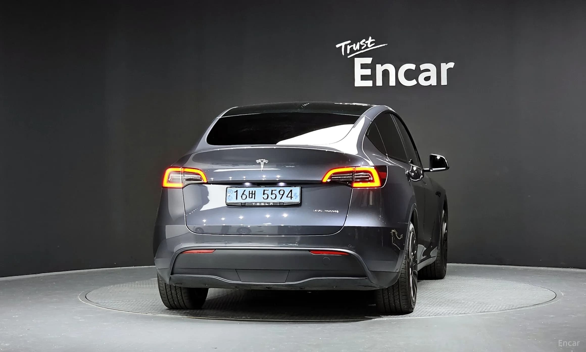 Model Y
