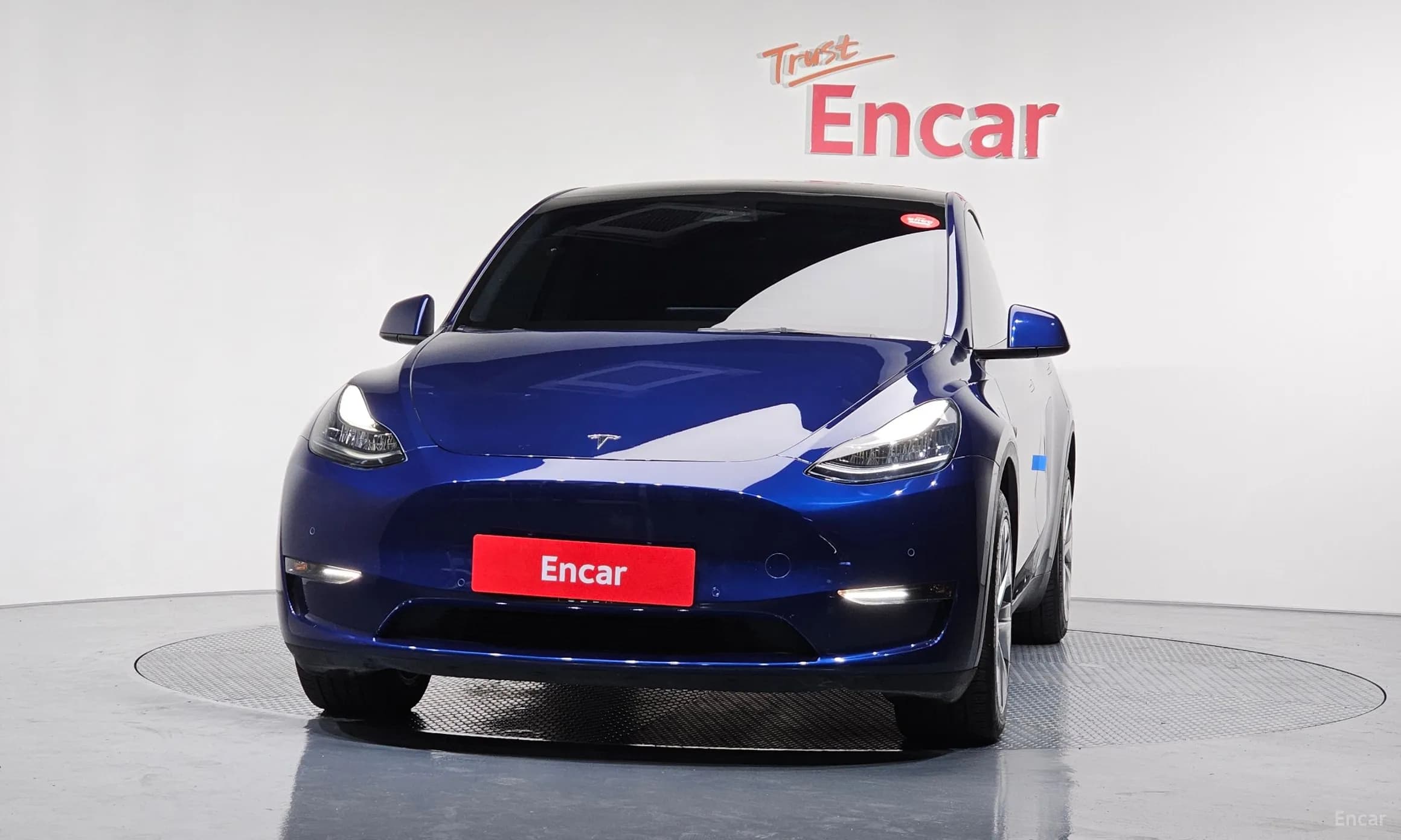 Model Y