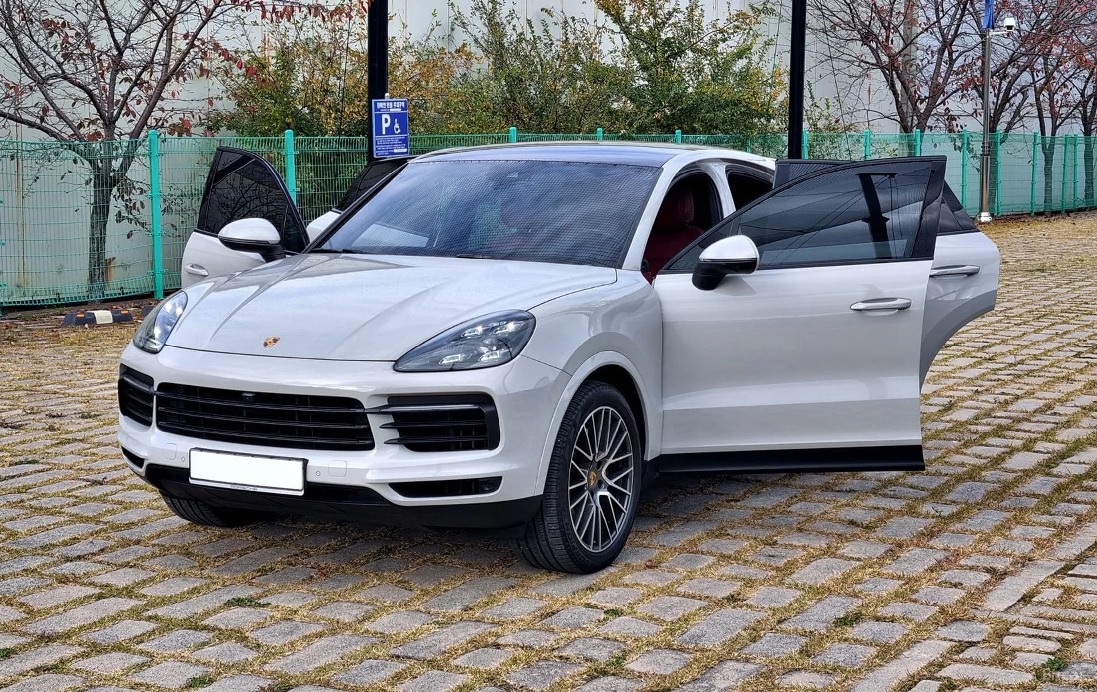 Cayenne (PO536)