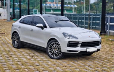 Cayenne (PO536)