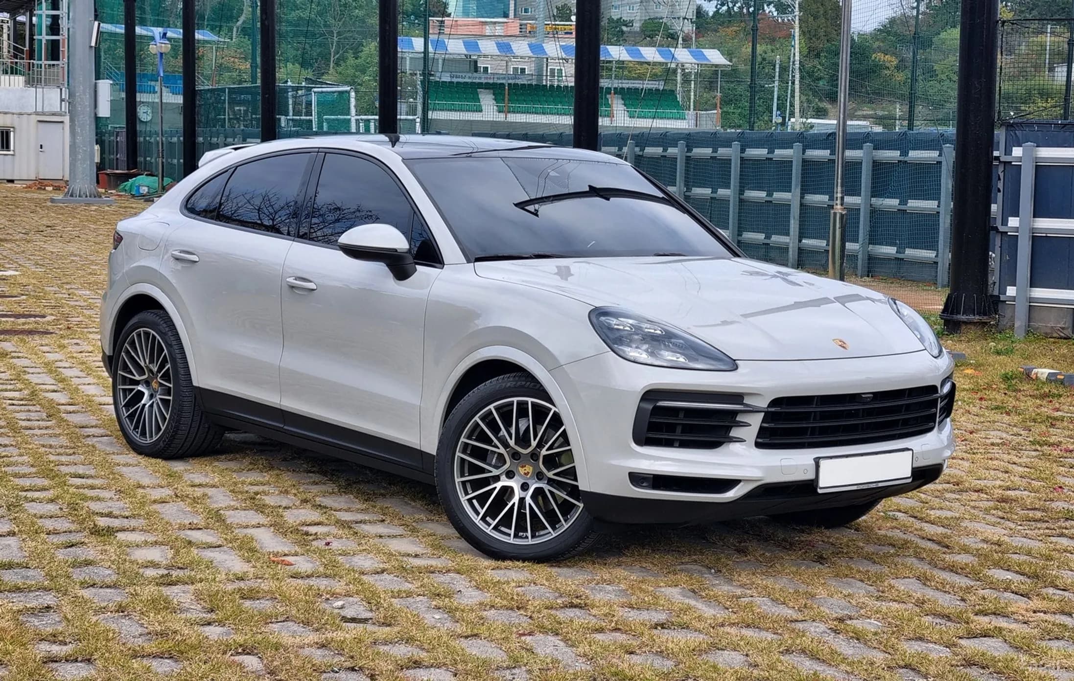 Cayenne (PO536)