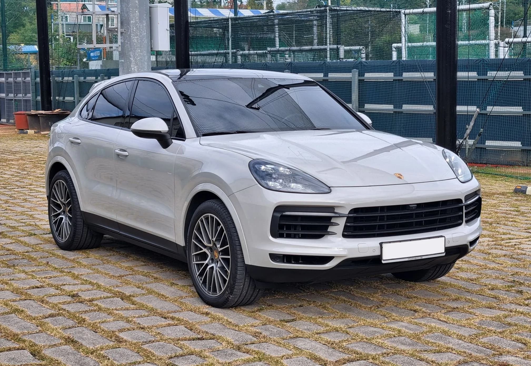 Cayenne (PO536)