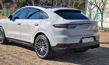 Cayenne (PO536)