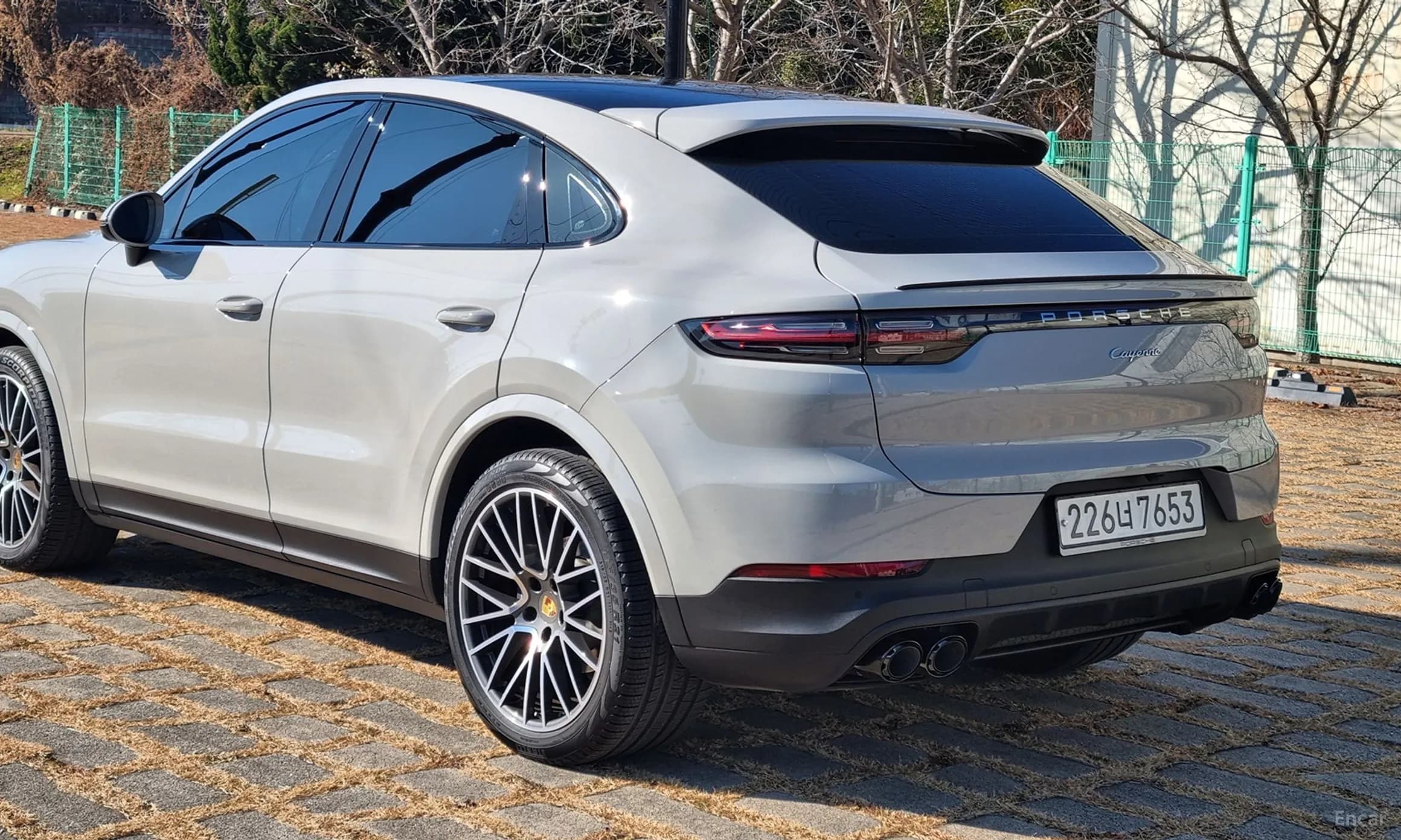 Cayenne (PO536)