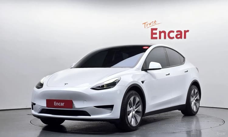 Model Y